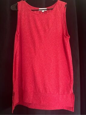 Red Sleeveless Diagonal Stripe Tunic Tank